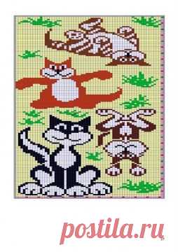 74459176_large_Portrait_of_Cat_0037 - Эвелина Игоревна Жестовских