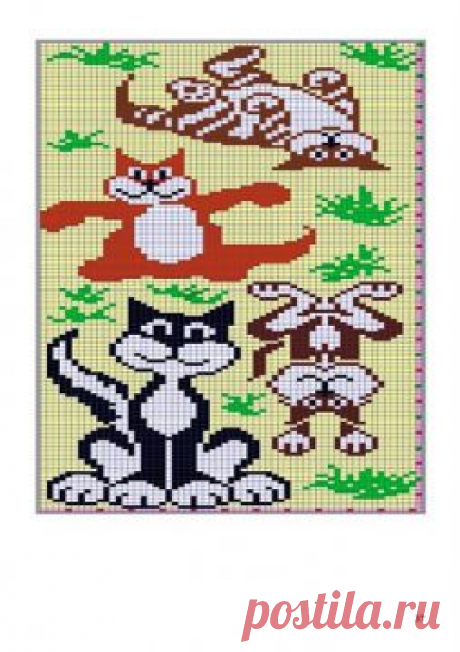 74459176_large_Portrait_of_Cat_0037 - Эвелина Игоревна Жестовских