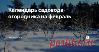 Календарь садовода-огородника на февраль Работы в саду и огороде в последний зимний месяц
Плодовый сад
Как и в любой зимний месяц, в феврале нужно следить за тем, чтобы штамбы и основания скелетных ветвей (если они расположены близко к земле) плодовых деревьев были укрыты снегом.
Резкие перепады дневных и ночных температур в это время года опасны, так как могут привести к появлению морозобоин (продольных трещин на коре и древесине), а яр