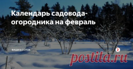 Календарь садовода-огородника на февраль Работы в саду и огороде в последний зимний месяц
Плодовый сад
Как и в любой зимний месяц, в феврале нужно следить за тем, чтобы штамбы и основания скелетных ветвей (если они расположены близко к земле) плодовых деревьев были укрыты снегом.
Резкие перепады дневных и ночных температур в это время года опасны, так как могут привести к появлению морозобоин (продольных трещин на коре и древесине), а яр