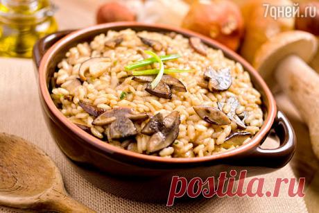 Ризотто с белыми грибами: рецепт от актрисы Ирины Старшенбаум - 7Дней.ру