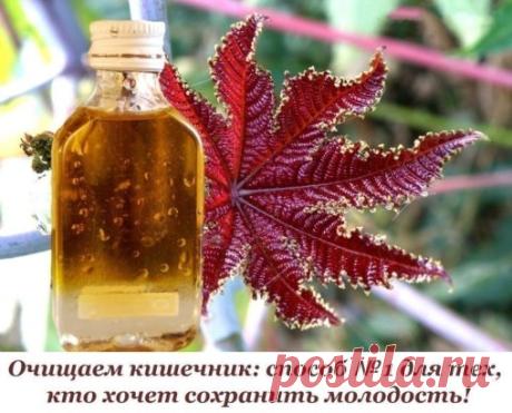 Очищаем кишечник: способ № 1 для тех, кто хочет сохранить молодость!
Мы мало двигаемся, моторика кишечника ухудшается, и в организме накапливаются шлаки. Первый шаг к похудению и оздоровлению — это чистка кишечника.
Вместе с едой в наш организм попадают вредные вещества: консерванты, усилители вкуса, красители. Мы мало двигаемся, моторика кишечника ухудшается, и в организме накапливаются шлаки. Первый шаг к похудению и оздоровлению — это чистка кишечника.
Чистка кишечника касторовым маслом
ТЕ
