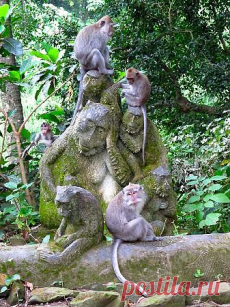 Фотостена - лучшие фотографии путешествий - TripAdvisor
