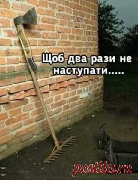 (10) Одноклассники
