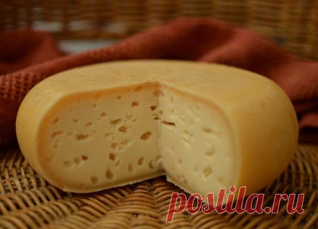 Сыр Ярлсберг в домашних условиях. Рецепт