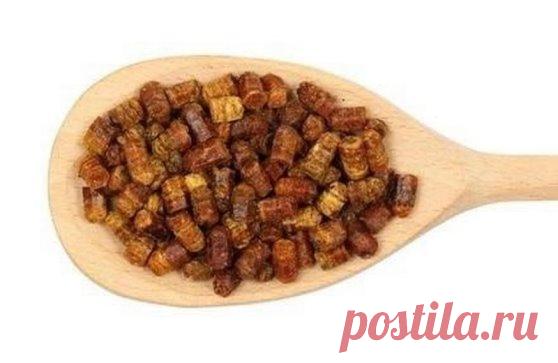 Прополис - лучшее средство от всех болезней.
Сочетание прополиса и молока дает особый эффект: помимо лечения простудных и легочных заболеваний улучшается общее самочувствие, сон, снимается раздражительность, усталость.
• 10%-ную настойку прополиса лучше всего купить в аптеке. Пузырька емкостью 25 мл вам хватит надолго, а стоит он всего несколько рублей.
• Принимать средство следует вечером, перед сном по 20 капель в 100 мл горячего молока в течении 10 дней один раз в месяц. Курс повторять в т