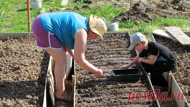 Огород для ленивых