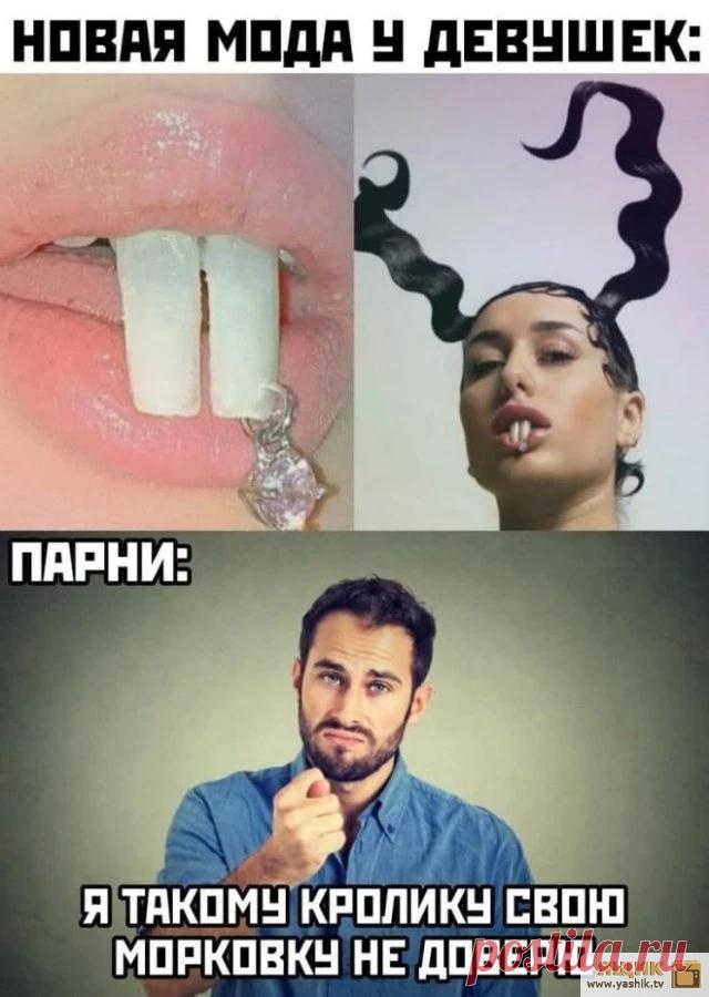 Странный и черный юмор / Картинки: Приколы