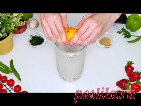 Майонез из семечек подсолнуха | Готовим между делом