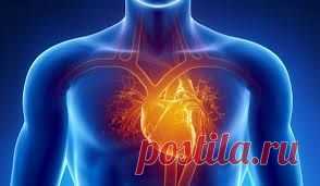 Миокардит сердца. Причины возникновения миокардита 
Миокардит – исторически первая болезнь сердечной мышцы, описанная медициной (еще в середине XVIII века). По характеру патологии это воспалительный процесс токсического, вирусного или аутоиммунного происхождения, развивающийся в миокарде. В современной классификации миокардит относится к классу...