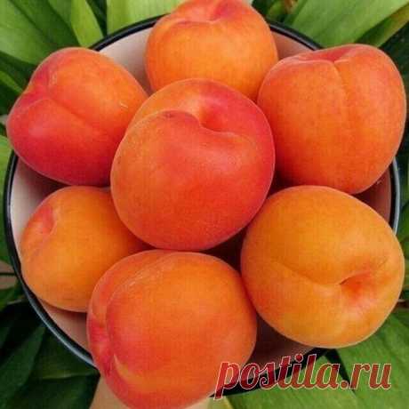 Вкусно !