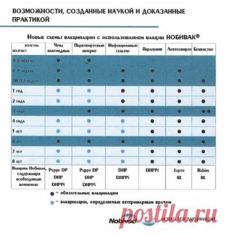 Рай в Тамбовской области или На что я променяла Америку :) | Fermer.Ru - Фермер.Ру - Главный фермерский портал - все о бизнесе в сельском хозяйстве. Форум фермеров.