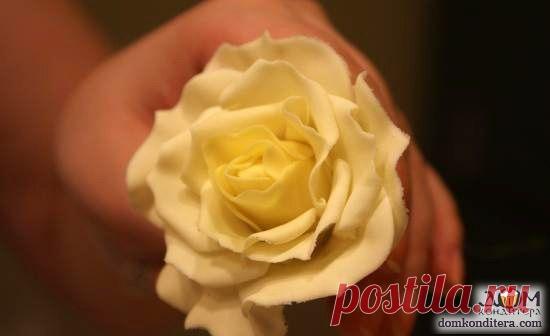 Как сделать розу из сахарной мастики
