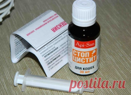 Симптомы и лечение цистита у кошек в домашних условиях, краткий обзор препаратов