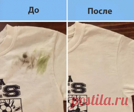 Как избавиться от любых пятен / Домоседы