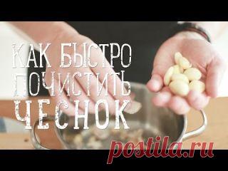 Первый Вегетарианский