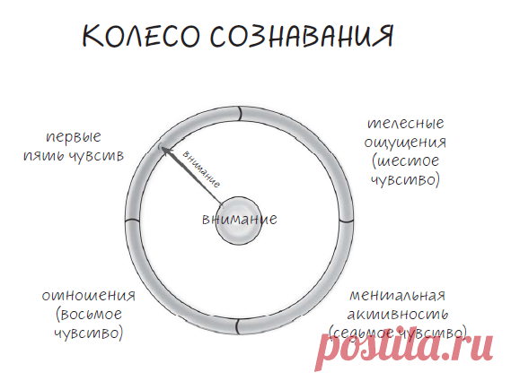 Каждая книга Дэниела Сигела — глубокое погружение в тайны человеческого разума, из которого выныриваешь немного другим: наполненным инсайтами, будто проснувшимся ото сна. Неспроста мы выпускаем уже четвертую книгу знаменитого психиатра. Внутри не только исследование — там мощная практика «Колесо сознавания», которую Сигел разрабатывал в течение многих лет.