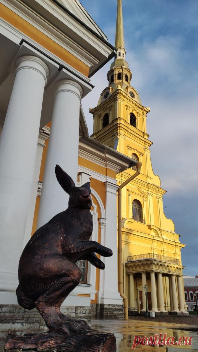 Изображение пина-истории