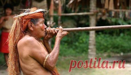 Духовое ружье по-прежнему актуально — Энциклопедия оружия