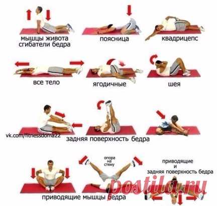 Комплексная растяжка
Для хорошего самочувствия и красивых мышц.