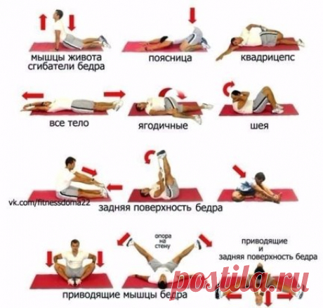 Комплексная растяжка
Для хорошего самочувствия и красивых мышц.