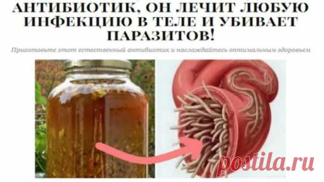 Самый мощный природный антибиотик, он лечит любую инфекцию в теле и убивает паразитов! Этот природный антибиотик считается самым мощным среди многочисленных, он эффективно лечит инфекции и разрушает паразиты. По сути, это антибиотик, который разрушает грамположительные и грамотрицательные бактерии. Он обладает мощными противовирусными и противогрибковыми свойствами, повышает циркуляцию крови и
