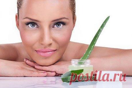 Алоэ от угревой сыпи