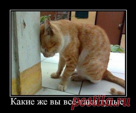 Интересные новости