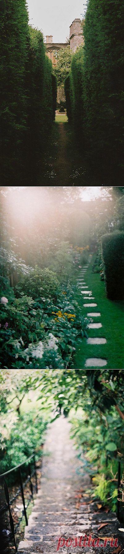 Утренний свет: всем доброго утра!