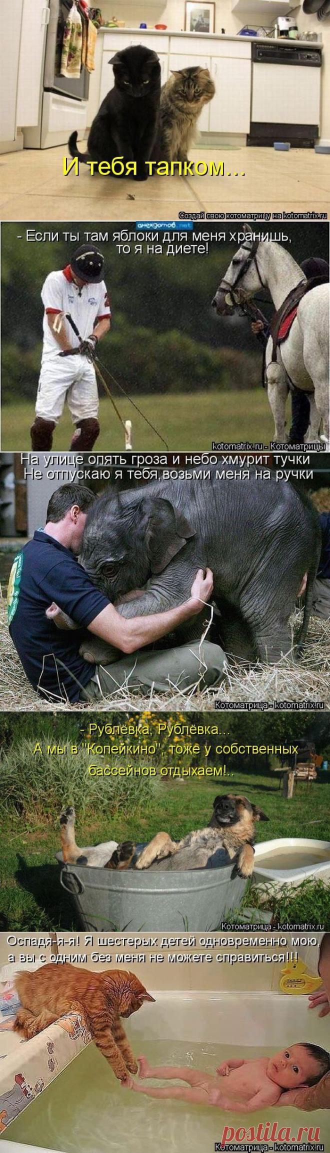 (+1) тема - Все. Нафиг политику. Отвлекитесь))) | ОБОРЖАКА ;)