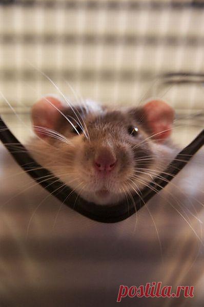 --Любимая, вернись,   прощаю  всё  тебе.
Ведь без  тебя мне  жизни нет.....
Я  неживой