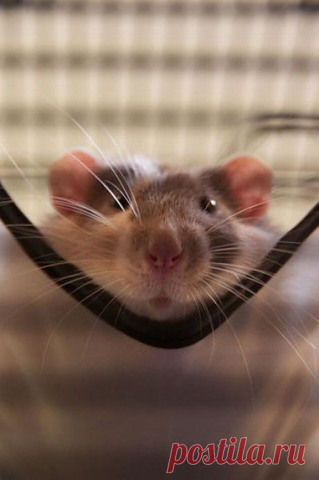 --Любимая, вернись,   прощаю  всё  тебе.
Ведь без  тебя мне  жизни нет.....
Я  неживой