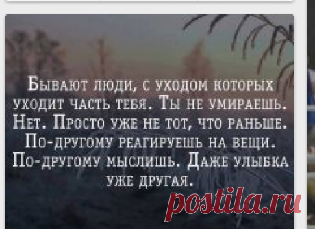 Цитаты, умные мысли / Pinme