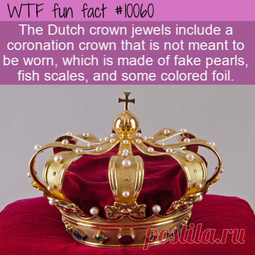 WTF Fun Fact – Dutch Fish Scale Crown &#8211; Top Best Celebrity Blogs
