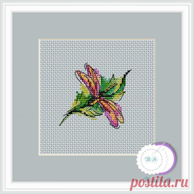 Gallery.ru / Фото #102 - Насекомые - BelleBlue