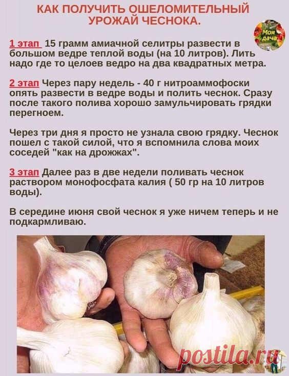 (859) Pinterest