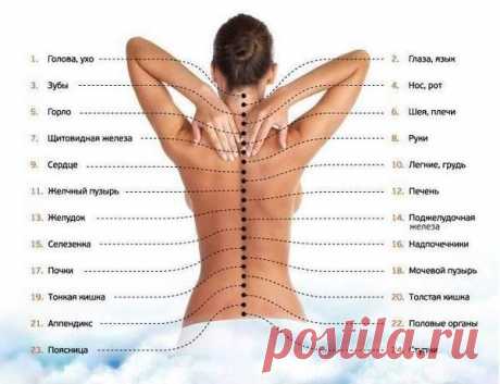 Здоровья много не бывает | ПолонСил.ру - социальная сеть здоровья