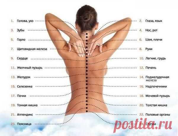 Здоровья много не бывает | ПолонСил.ру - социальная сеть здоровья