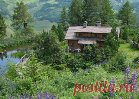 Защита от болезней и вредителей. Всё по теме