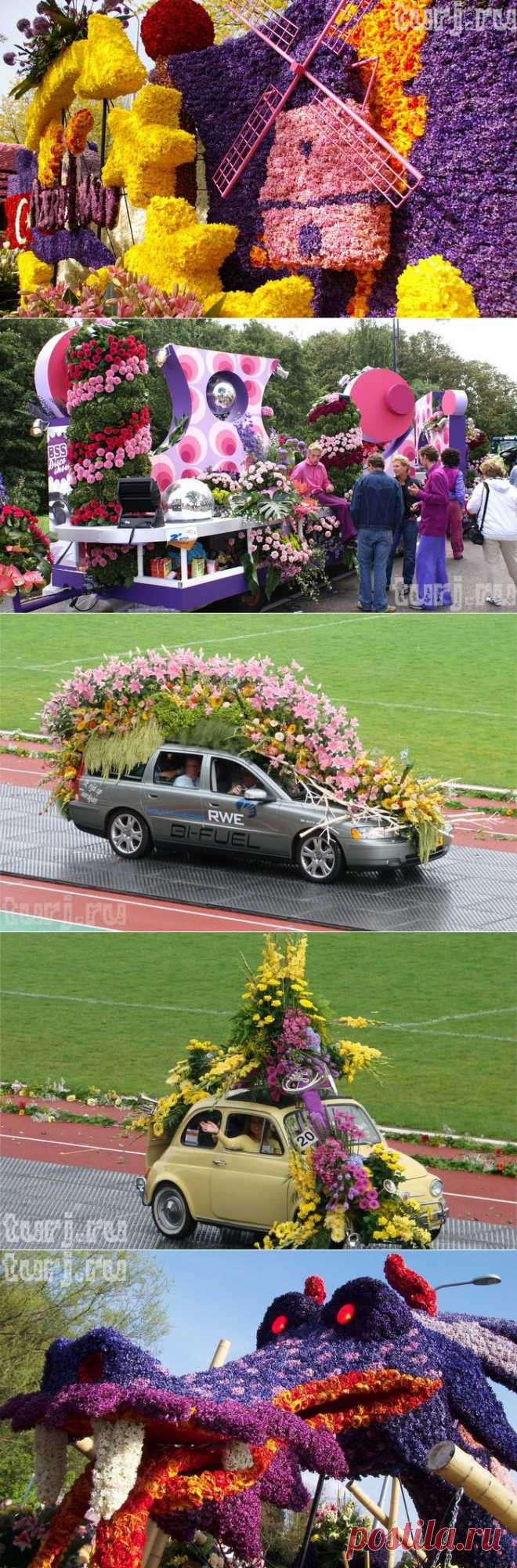 Нидерланды, Аалсмеер: парад цветов в королевстве тюльпанов .