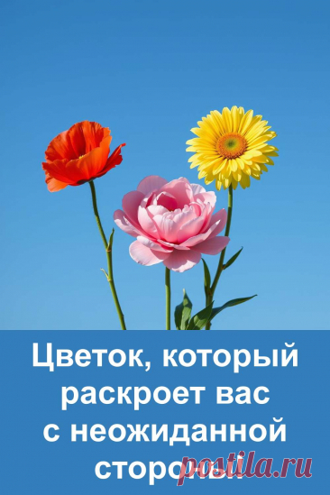 Выберите один из трёх цветков — красный, жёлтый или розовый — и узнайте, какие черты скрываются в вашей душе. Лёгкий психологический тест в простой и доброй форме поможет взглянуть на себя с неожиданной стороны. Красота выбора раскрывает красоту вашей личности!