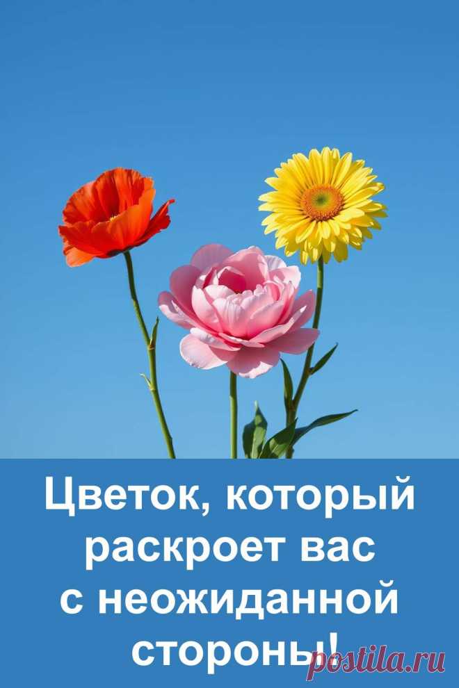 Выберите один из трёх цветков — красный, жёлтый или розовый — и узнайте, какие черты скрываются в вашей душе. Лёгкий психологический тест в простой и доброй форме поможет взглянуть на себя с неожиданной стороны. Красота выбора раскрывает красоту вашей личности!