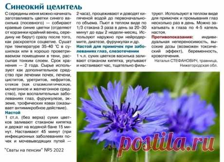 Василек - синеокий целитель