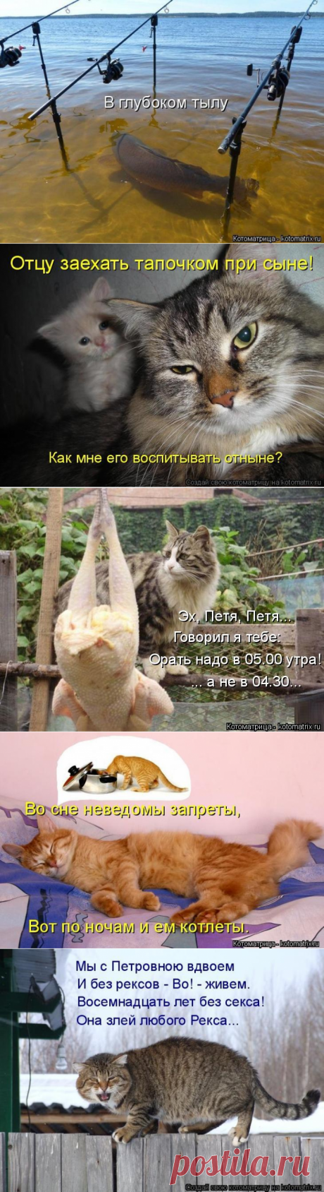 Кошкоматрицы для хорошего настроения