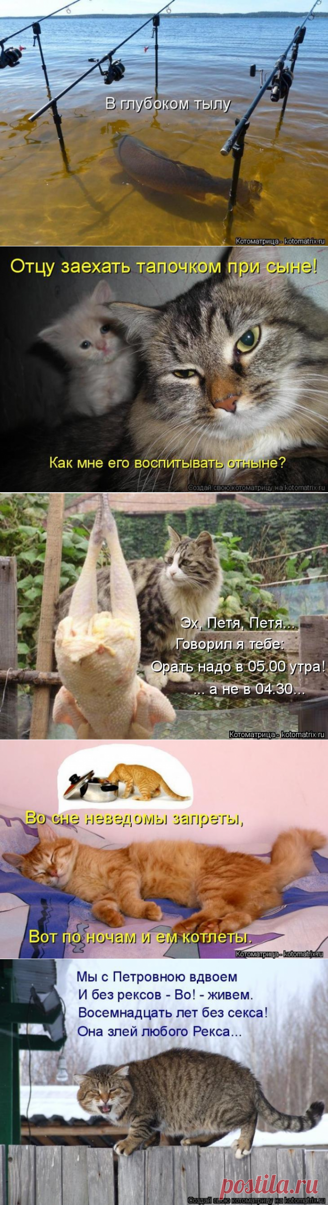 Кошкоматрицы для хорошего настроения