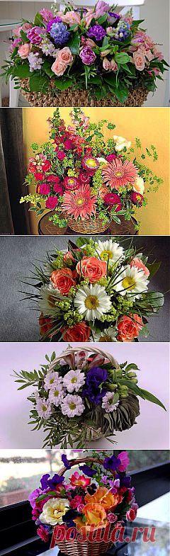 КОМПОЗИЦИИ ИЗ ЦВЕТОВ.