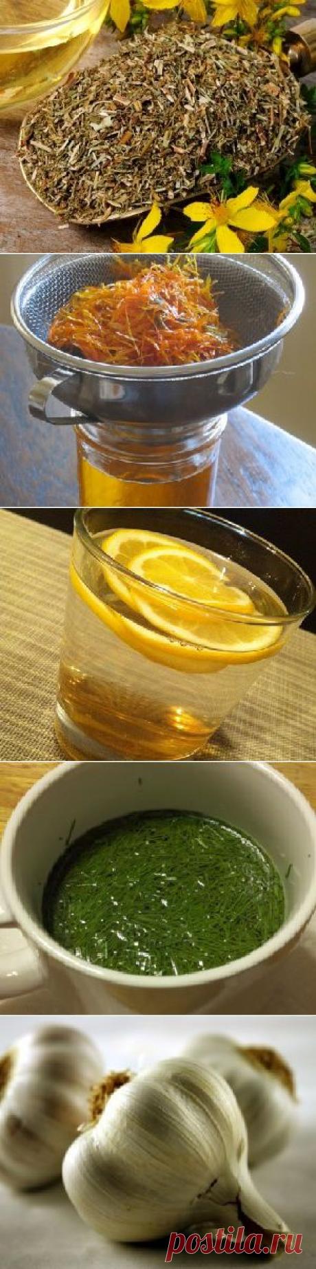 Очищение организма