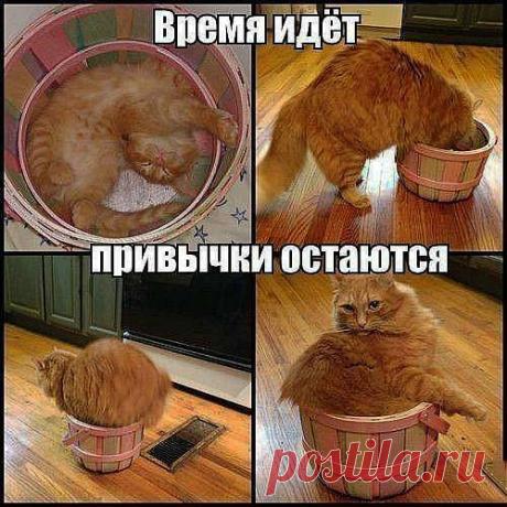 Лайфхак