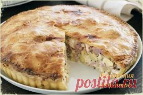 Пирог с курицей и картофелем. Тесто потрясающе нежное, но в то же время хрустящее, начинка… начинку просто не описать словами.... Коллекция Рецептов - Мой Мир@Mail.ru Пирог с курицей и картофелем. Тесто потрясающе нежное, но в то же время хрустящее, начинка… начинку просто не описать словами....  Коллекция Рецептов в социальной сети Мой Мир