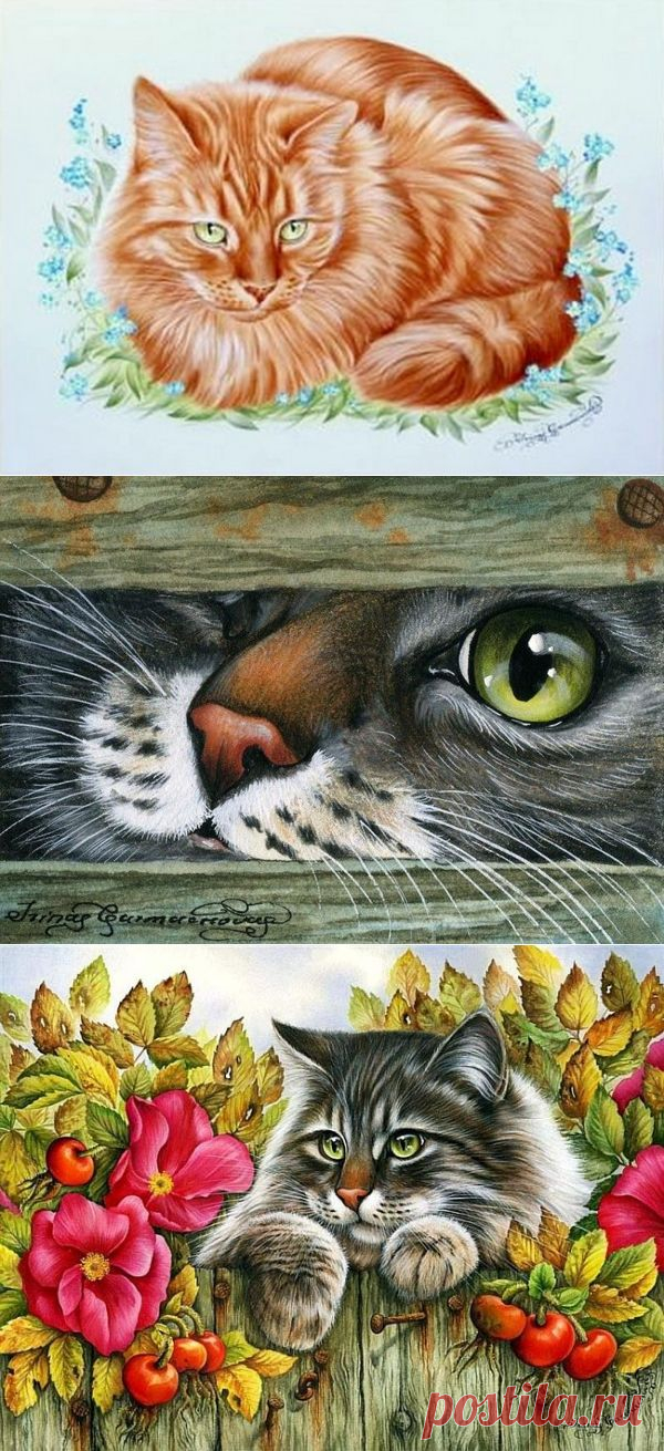 Милые котики в рисунках Ирины Гармашовой